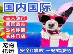 徐州观音航空运输国际宠物托运 【国